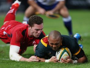 Pic: These Welsh rugby fans are going to be in trouble with their wives