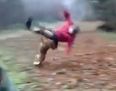 Video: Incredibly athletic dog pulls off the most thunderous tackle you’ll see this week