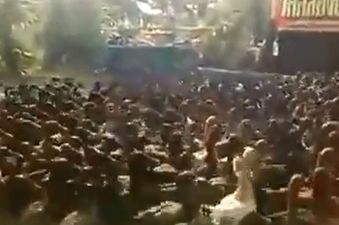 Video: What the duck? Who knew a stampede of ducks could be this frightening?