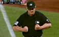 Video: Baseball umpire reacts to getting whacked with the ball in the chest in magnificent fashion