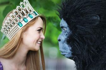 Tickets available for the June Ball in aid of the Irish Motor Neurone Disease Association