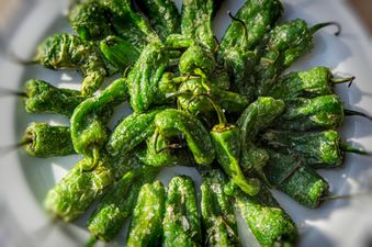 Tapas at home; Pimientos de Padrón