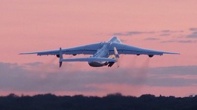 Pic: This plane’s flight path looks just like a penis-shaped penis