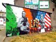Pic: Yet another cracking Conor McGregor mural crops up in Dublin ahead of UFC 178