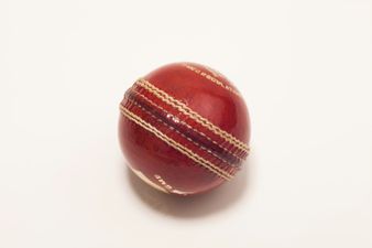 Pic: Cricketer Craig Kieswetter suffered a horrendous looking eye injury [Graphic content]