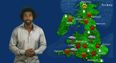 Video: So… former WBA heavyweight champion David Haye is presenting a weather forecast for dogs now