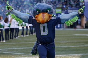 Video: Seattle Seahawks mascot proves too quick for this 49ers fan who ends up face down on the ground