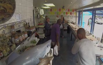 Video: Hidden camera films killer shark frighten customers at London fishmonger