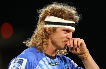 Video: This week’s Rugby HQ Top Five is dedicated to the one and only Honey Badger