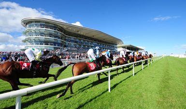 Ever fancied owning a racehorse? Here’s how!