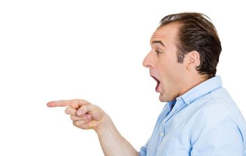 Pic: This tourist map makes a village look just like a penis