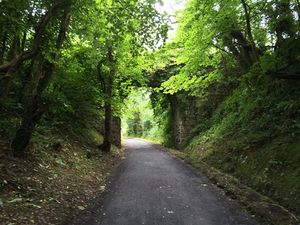 On yer bike; JOE cycles the Greenway and enjoys what Westport and Mayo has to offer