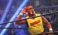 Video: Hulk Hogan apparently removed from the WWE due to alleged racist remark (NSFW)