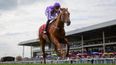 Hayley O’Connor previews Irish Champions Weekend at Leopardstown and The Curragh