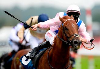 Vine: Jockey inexplicably falls off his horse, while leading, just 10 metres before the finish line at Doncaster