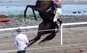 Video: Footage of the amazing scene in Laytown which led to the sports photo of the year so far