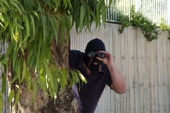 So there was a spy spotted watching Kerry training from a tree on Tuesday night