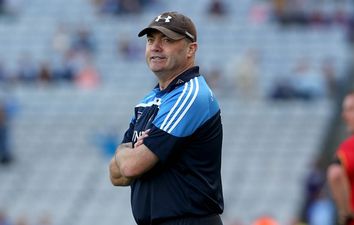 Anthony Daly has stepped down as manager of the Dublin hurlers