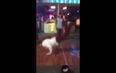 Video: Offaly man interrupts breakdancing contest in Bangkok and KILLS it