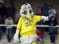 Is Torquay United’s mascot the worst in football?