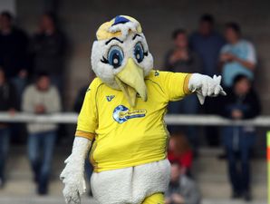 Is Torquay United’s mascot the worst in football?