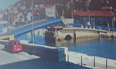 Video: Croatian driver accidentally drives off raised drawbridge