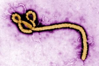 Plane on lockdown in Dublin Airport after man claims to have Ebola (he does not have Ebola)