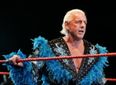 Vine: NFL player scores TD, celebrates with superb Ric Flair strut