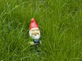 That’s Gas! There’s a fella called Elmo selling gnomes on Done Deal this morning
