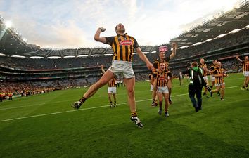 No major surprises as Kilkenny and Tipp dominate Hurling All-Star selections