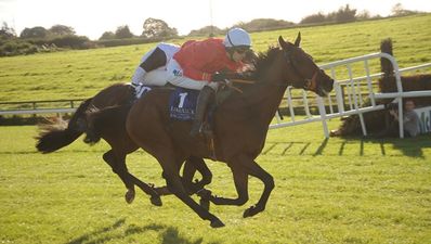 Road Trip! Three top places to check out this weekend…