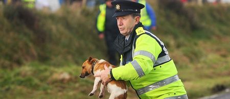 Pic: The Gardaí completely take the piss out of themselves with this tweet