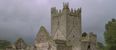 Pic: These Kilkenny ruins in the fog would not be out of place in Game of Thrones