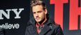 Vine: One Direction’s Liam Payne hates taking selfies with their fans