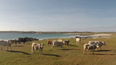 Video: You’d swear this was shot near the South of France & not the West Coast of Ireland…