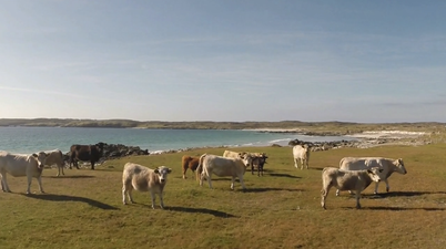 Video: You’d swear this was shot near the South of France & not the West Coast of Ireland…