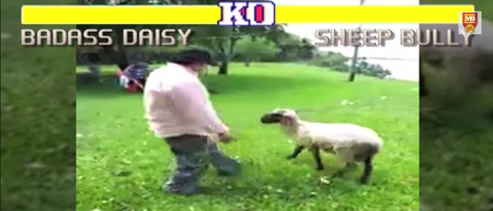 Video: Some genius has created a brilliant Street Fighter goat edition