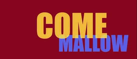 Video: Some folk in Mallow have gone all out with this 12 pubs of Christmas promotional video