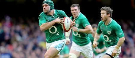 Best returns as Schmidt brings back the big guns for the Wallabies