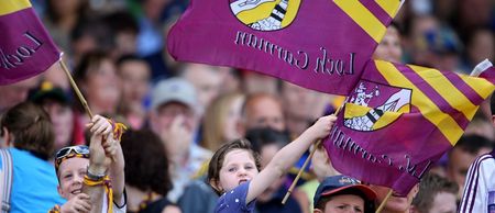 Pic: Wexford woman pens amazingly heartfelt letter thanking the Wexford hurlers for giving her Dad ‘one last great memory’