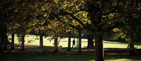 Apparently it’s going to be nice and sunny all this week