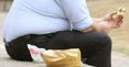 Obesity can be considered a disability according to a new European Court ruling