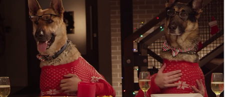 Video: Dogs eating Christmas dinner with human hands will definitely get you in the mood for the holidays