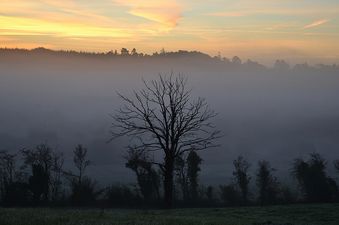 No chance of a White Christmas tomorrow, according to Met Eireann