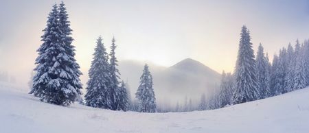 Let it snow! It looks like we’re going to get a white Christmas after all