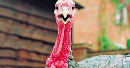 Christmas leftovers: 5 Tasty Turkey Curries to try out