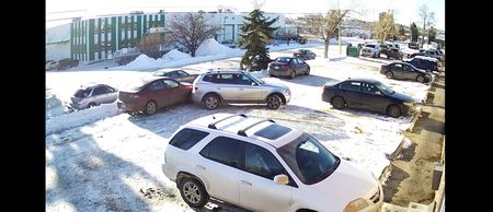 Video: Calgary’s worst driver is going viral, and we can see why…