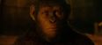 Video: The honest trailer for Dawn Of The Planet of the Apes is very, very funny