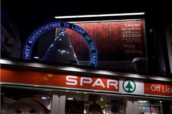 Light up a Christmas tree to raise €20,000 for The National Children’s Hospital