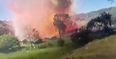 Video: This incredible footage shows what an exploding fireworks factory looks like